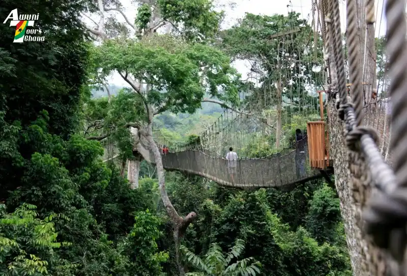 Kakum National Park