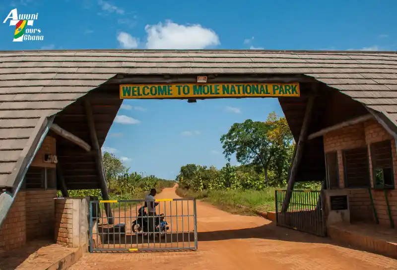 Mole National Park Ghana