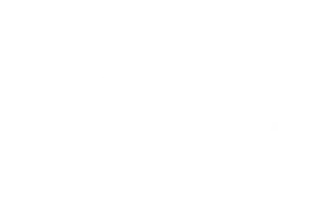 essence 300x203 1