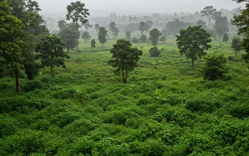 visiting ghana in June